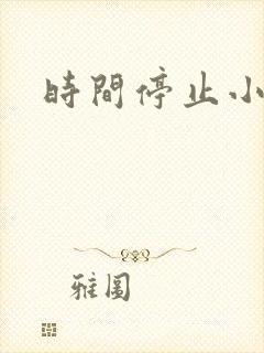 时间停止小说