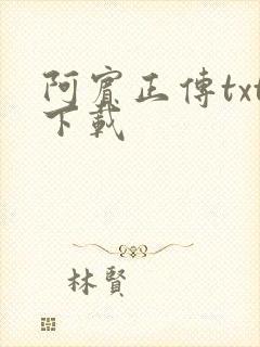 阿宾正传txt下载封面