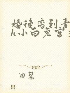 婚后脔到青梅哭h小白兔宫交h