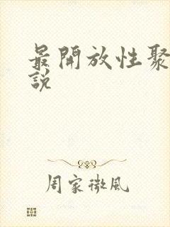 最开放性聚会小说