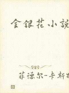 金银花小说乐可