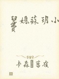 儿媳苏玥小说免费封面