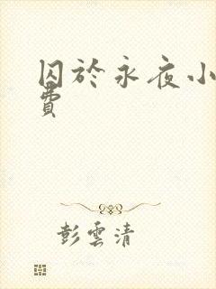 囚于永夜小说免费