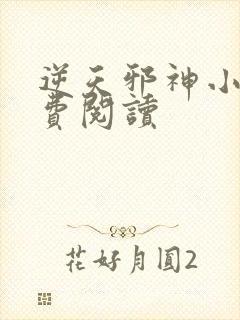 逆天邪神小说免费阅读