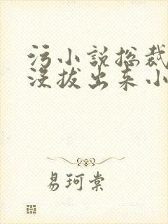 污小说总裁整夜没拔出来小说在线阅读