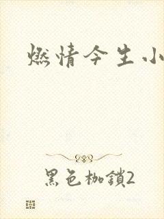 燃情今生小说