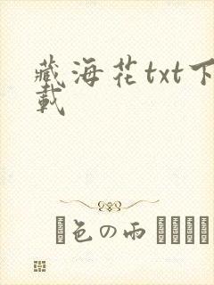 藏海花txt下载