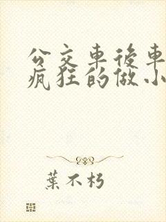 公交车后车座的疯狂的做小