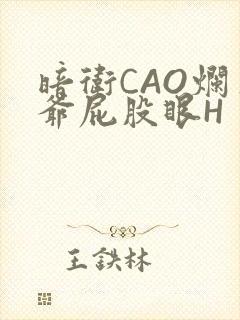 暗卫CAO烂王爷屁股眼H