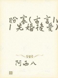 盼寡(古言1v1 先婚后爱)