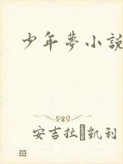 少年梦小说