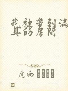 我被带到满是玩具的房间