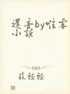 迟音by唯雾的小说