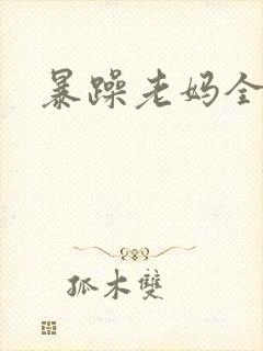 暴躁老妈全集封面