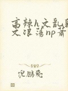 高辣h文乱乳h文浪荡np萧太后