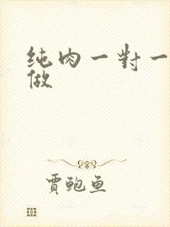纯肉一对一到处做