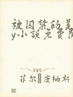 被囚禁的美人by小说免费阅读