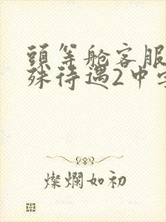 头等舱客服的特殊待遇2中字
