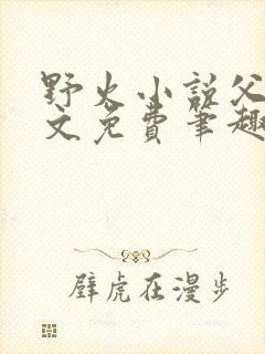 野火小说父女全文免费笔趣阁