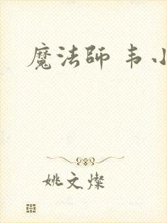 魔法师 韦小宝