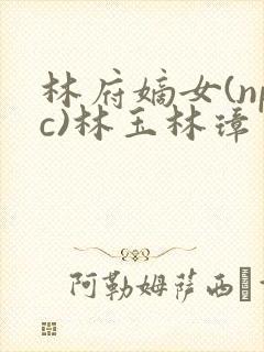 林府嫡女(npc)林玉林璋