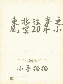 东北往事之黑道风云20年小说