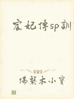 宸妃传sp训诫封面