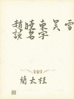 赵晓东吴雪晴小说名字