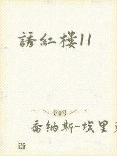 诱红楼11