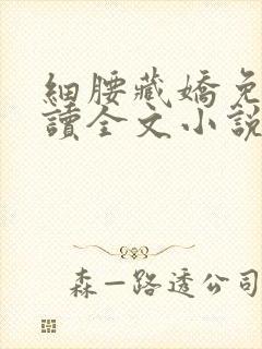 细腰藏娇免费阅读全文小说苏珞浅