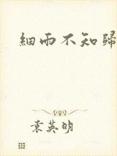 细雨不知归