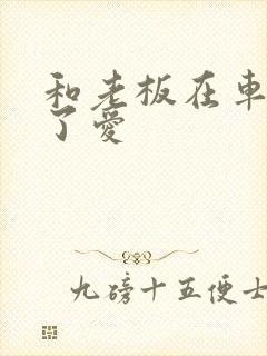 和老板在车里做了爱