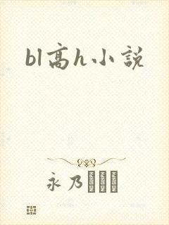 bl高h小说
