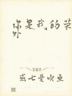 你是我的荣耀番外