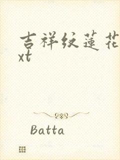 吉祥纹莲花楼txt