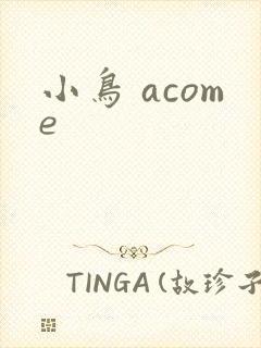 小鸟 acome