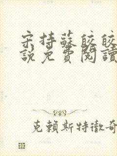 宋持苏皎皎的小说免费阅读