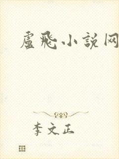 卢飞小说网