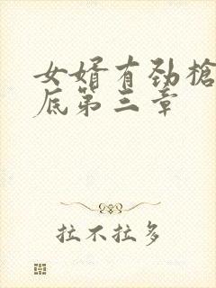 女婿有劲枪枪到底第三章