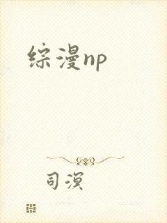 综漫np