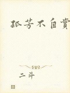 孤芳不自赏小说