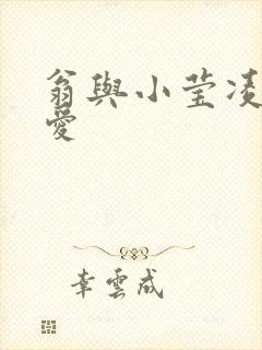 翁与小莹凌晨欢爱封面