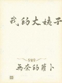 我的大姨子封面