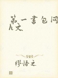 《第一书包网高辣h文》小说封面