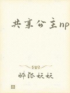 共享公主npc