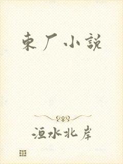 东厂小说