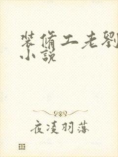 装修工老刘林雪小说