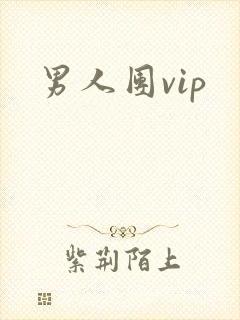 男人团vip