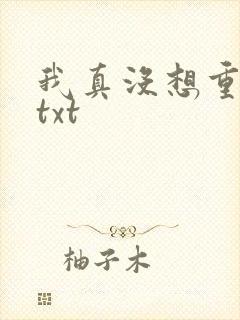我真没想重生啊txt