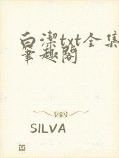 白洁txt全集笔趣阁